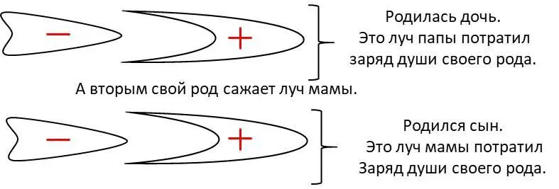 Рисунок 7 Всего надо за время создания семьи посадить два родовых деревца - фото 7