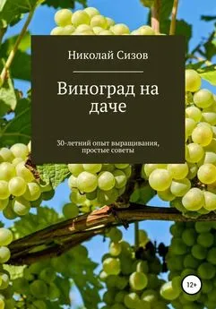 Николай Сизов - Как вырастить виноград на даче в Средней полосе России