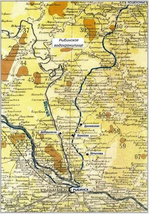 Рис 1Деревня Добрынино на карте Рыбинского уезда Ярославской губернии 1877 - фото 2