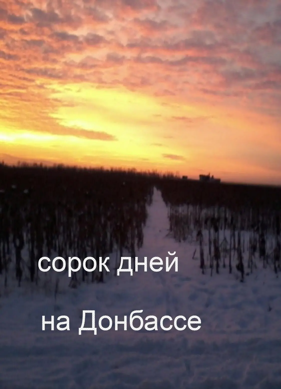 фото из личного архива А Доброго 2 Сорок дней на Донбассе фото из - фото 10