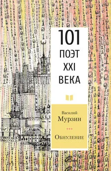 Василий Мурзин - Обнуление