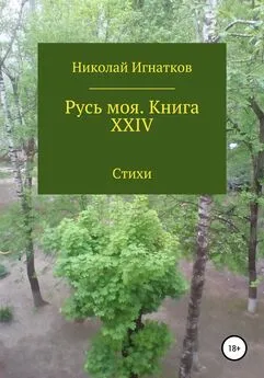 Николай Игнатков - Русь моя. Книга XXIV
