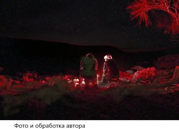 Песнь бедуина О многих из этих бойцов часть из которых передвигалась по - фото 5