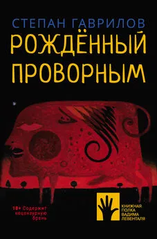 Степан Гаврилов - Рождённый проворным