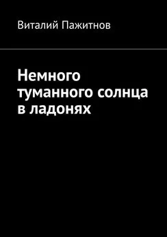 Виталий Пажитнов - Немного туманного солнца в ладонях