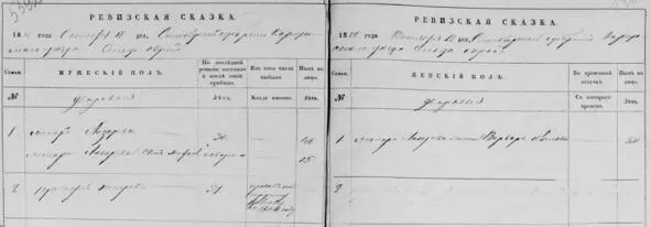 Ревизская сказка за 1850 год Помещица Е В Волкова Дворовые Дворовые - фото 25
