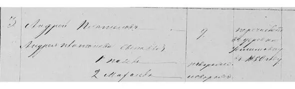 Ревизская сказка за 1850 год Помещица Е В Волкова Двор 3 Двор 4 В - фото 30