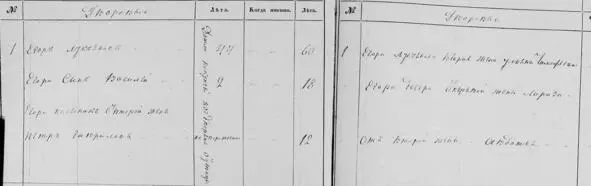 Ревизская сказка за 1850 год помещик Волков А В дворовые люди Еще одна - фото 43