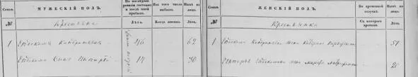 Ревизская сказка за 1850 год помещик Волков А В Двор 1 Двор 2 Во дворе - фото 45