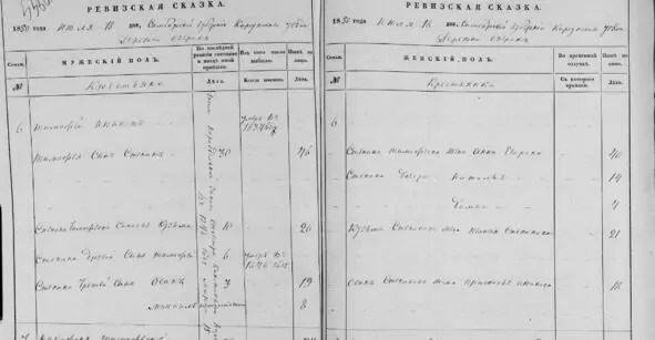 Ревизская сказка за 1850 год помещик Волков А В Двор 6 Двор 7 Семья - фото 50