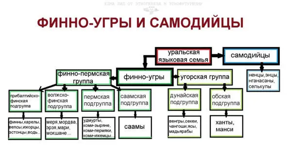 От этногенеза к этнофутуризму Финноугры и самодийцы - фото 1