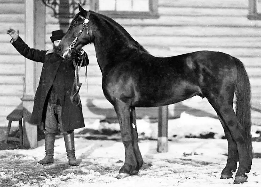 Вармик ВарварЖелезный Волна от Ветерка зав ВП Охотникова р 1894 г - фото 21