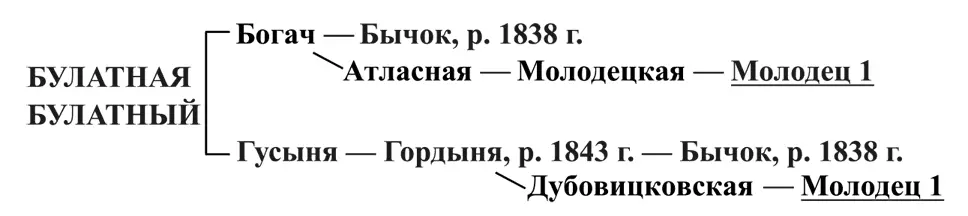Таким образом Булатная и Булатный имели закрепленные имена Бычка и Молодца - фото 12