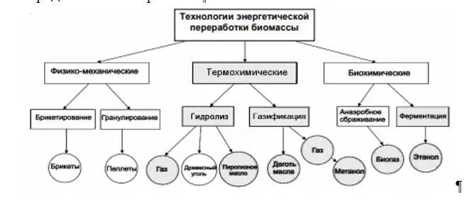 Рис 11 Товарные продукты энергетической переработки биомассы Из биомассы - фото 1
