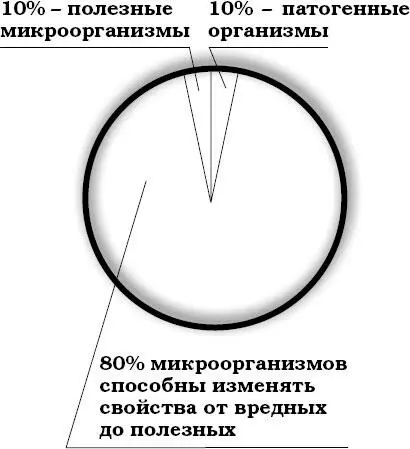 Масару Эмото со своими единомышленниками провел множество экспериментов чтобы - фото 21