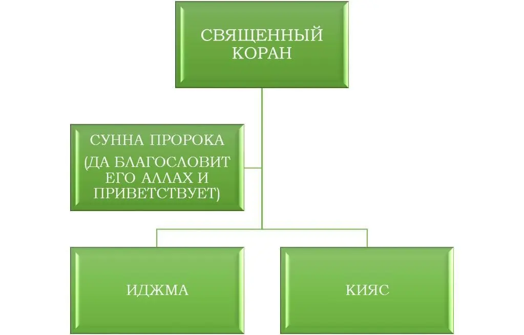 Рис 2 Иерархия источников мусульманской системы права Иджма это - фото 2