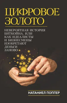 Натаниел Поппер - Цифровое золото: невероятная история Биткойна, или Как идеалисты и бизнесмены изобретают деньги заново