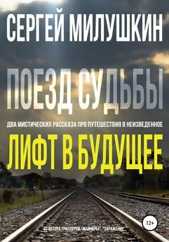 Сергей Милушкин - Лифт в будущее. Поезд судьбы