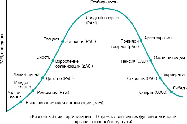 Рисунок 1 Жизненный цикл организации в кодировке PAEI 2 На стадии - фото 2