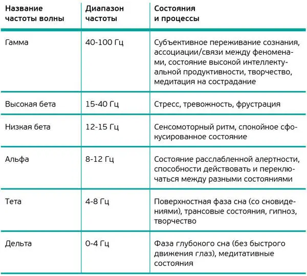 Гамма самая высокая частота волн активности мозга 40100 Гц эти волны - фото 1