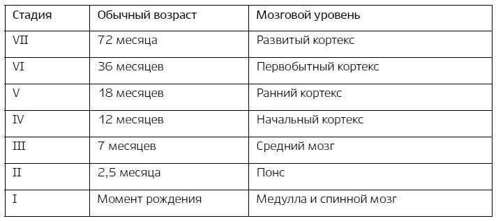 Родители должны предоставить ребенку возможности для развития физического - фото 1