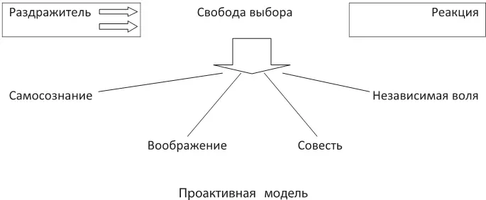 Первый и самый важный навык человека высокоэффективного в любых - фото 1