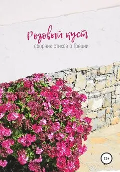Ирина Сухолет - Розовый куст