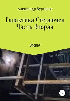 Александр Бурлаков - Галактика Стервочек. Часть Вторая