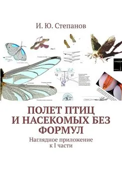 И. Степанов - Полет птиц и насекомых без формул. Наглядное приложение к I части