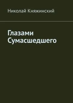 Николай Княжинский - Глазами Сумасшедшего