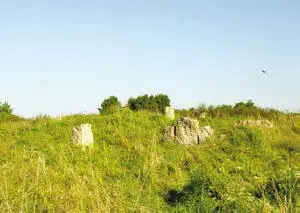 Старое татарское кладбищезиярат Неверкинский район 2019 г В сер 20х - фото 3