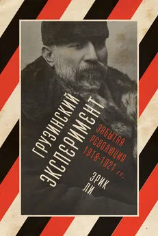 Эрик Ли - Грузинский эксперимент: забытая революция 1918–1921 гг.