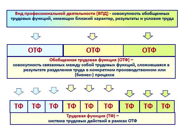 Рис 31 Формирование структуры профессионального стандарта В профстандарте - фото 6