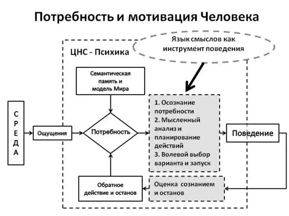 Рис 14 Адаптация Человека через потребность и вызванную ею мотивацию с - фото 4
