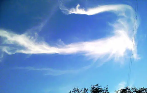 Странное небо Небо сегодня странное Белым плющом витое А по краям - фото 11