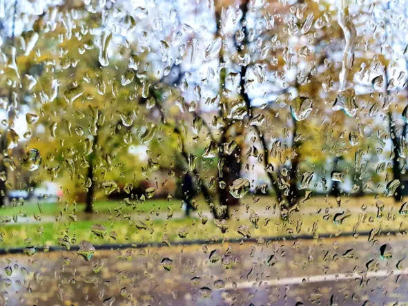 Летний дождик Летний дождик капкапкап Скачет по дорожке По - фото 15