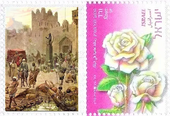 Абрам які пакідае Ур Уільям Брэсі Хоул 18461917 Месцазнаходжаньне - фото 83