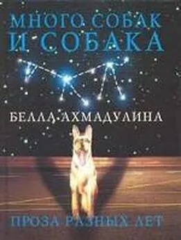 Белла Ахмадулина - Много собак и собака