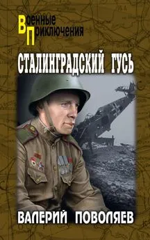 Валерий Поволяев - Сталинградский гусь
