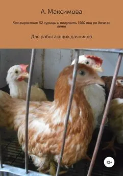 Александра Максимова - Как вырастить 52 курицы и получить 1560 яиц на даче за лето. Для работающих дачников