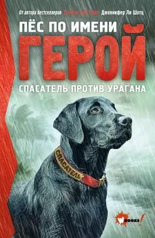 Дженнифер Шотц - Пёс по имени Герой. Спасатель против урагана