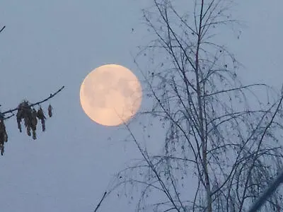 Бледноликая Луна тихо по небу плыла Встретив Марс на пути речь с ним хочет - фото 1