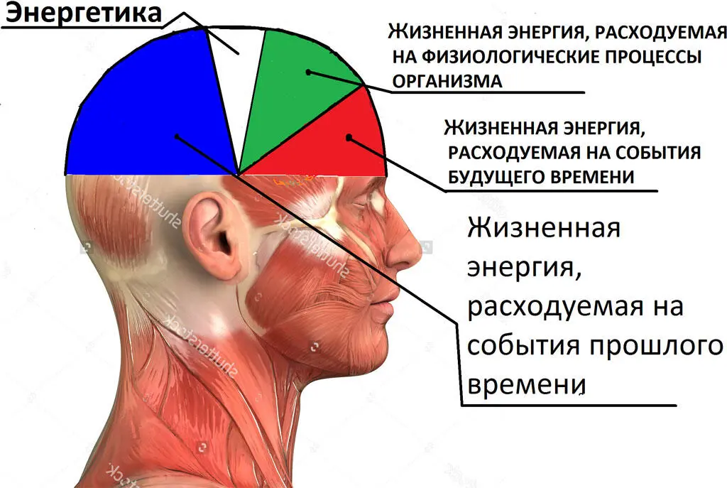 Рисунок 1 Если мы будем исходить исключительно из логики то запас нашей - фото 1