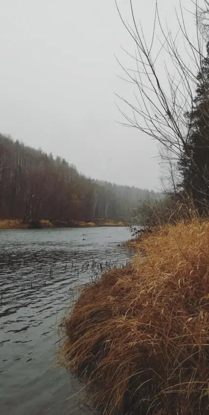 Туман По ярким тропам По лужам блестящим Он ходит охотно Бредя в - фото 2