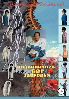Владимир Богданов - Позвоночник – бог здоровья