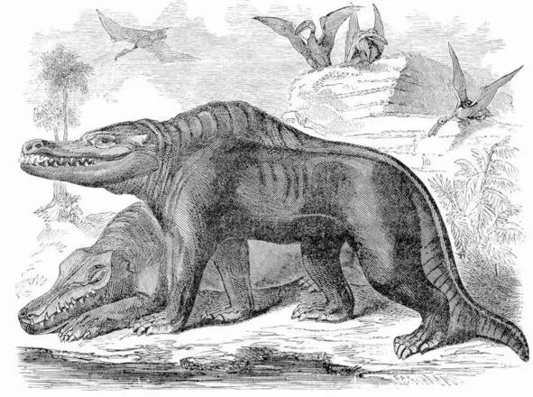 Мезозойская фауна На переднем плане изображены мегалозавры реконструированные - фото 52