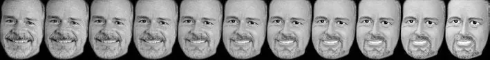 Рис 42Пример преобразования Лузер и Ветли от лица человека к лицу манекена - фото 9