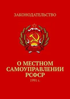 Тимур Воронков - О местном самоуправлении РСФСР. 1991 г.