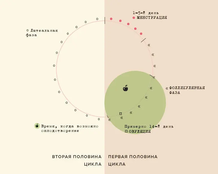 МЫ ОЧЕНЬ МАЛО ЧТО ЧУВСТВУЕМ ИЗ ВСЕХ ЭТИХ НЕВЕРОЯТНЫХ СВЕРШЕНИЙ ПРОИСХОДЯЩИХ В - фото 19