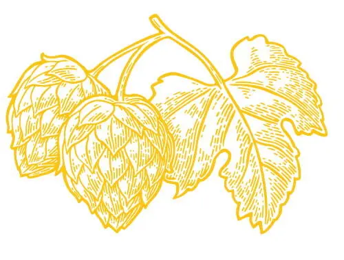 Андрей Дутиков домашний Evil Brew и контрактный пивовар HopHead Brewery - фото 40